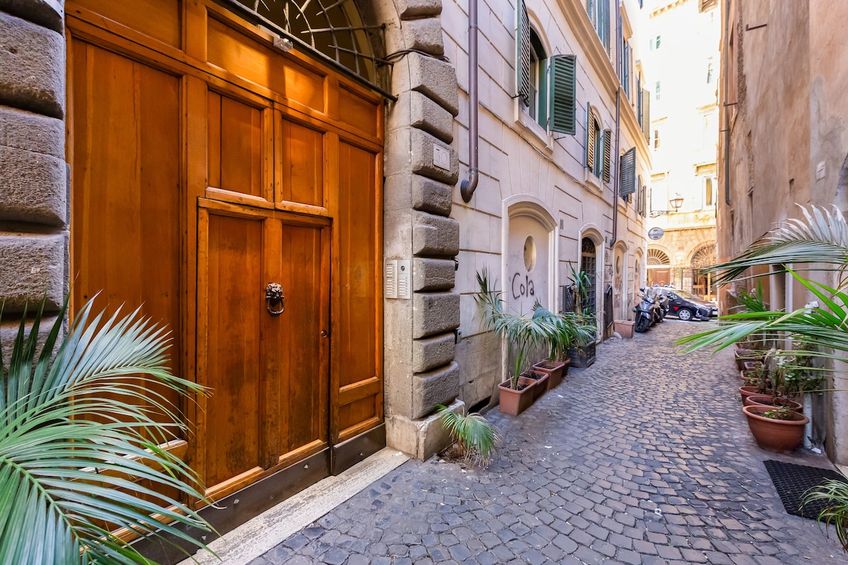 纳沃纳广场（ Piazza Navona ）可爱的公寓