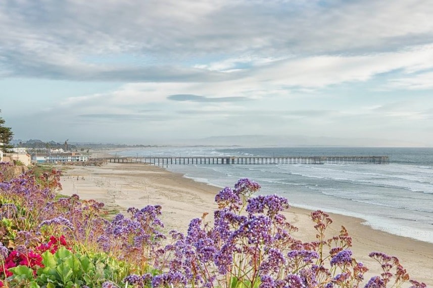 Seaside Sanctuary. Oceano Pismo