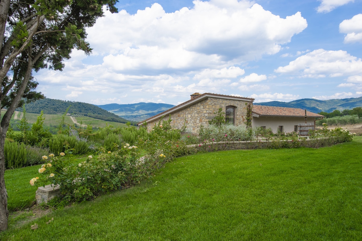 Villa Chianti with pool near the vineyard