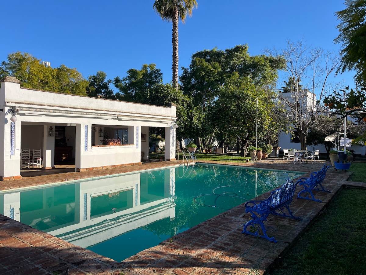 Un Oasis en Sevilla