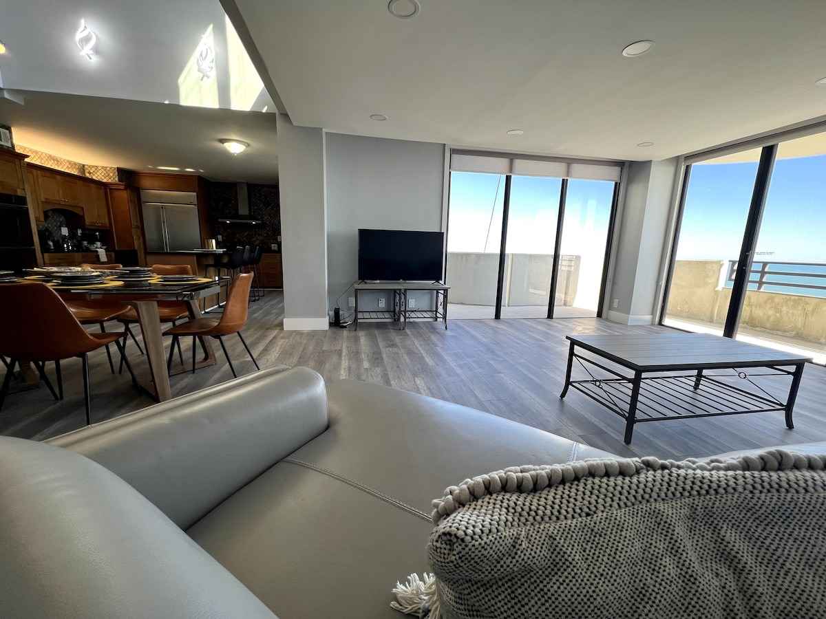 Brand New Remodeled Penthouse.