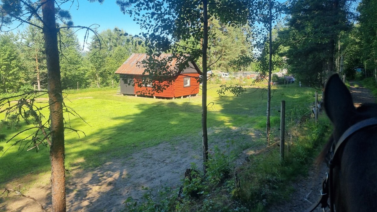 Country Cabin