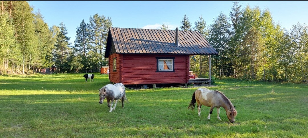 Country Cabin