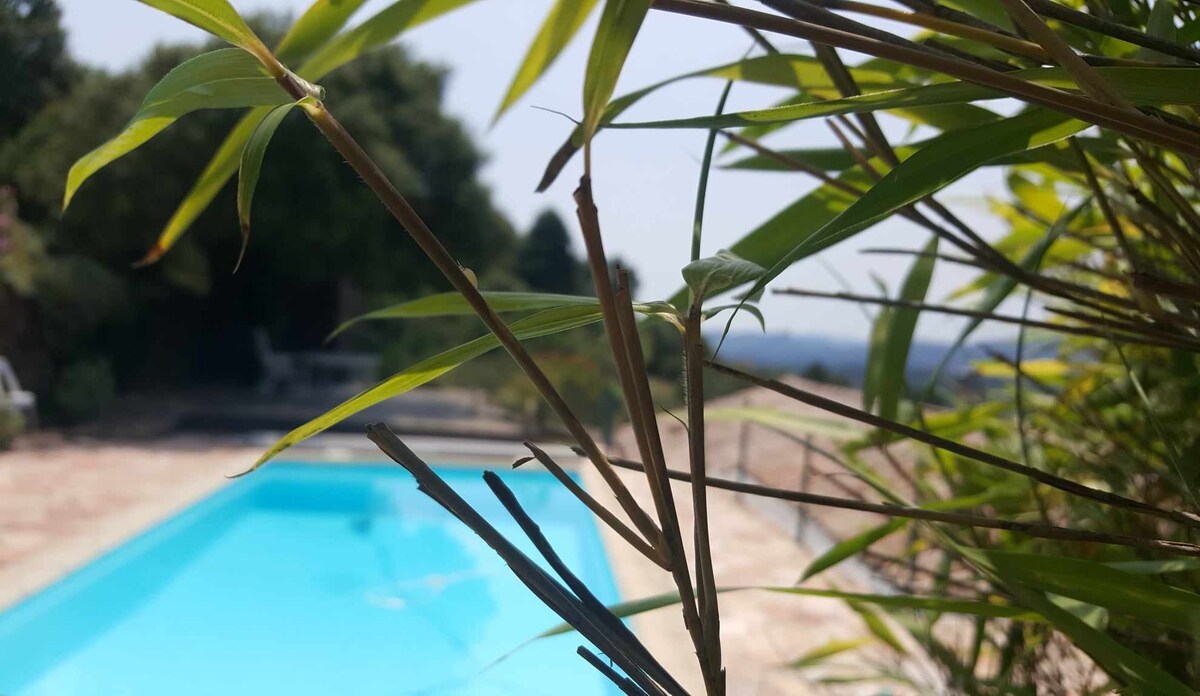 "la cigale et les fourmis" pavillon piscine privée