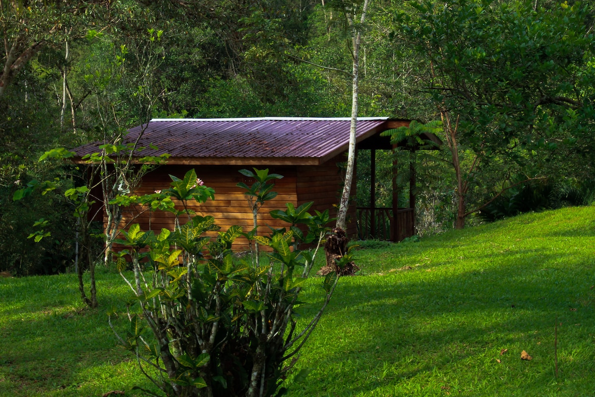 El Jaragual | Finca La Unión