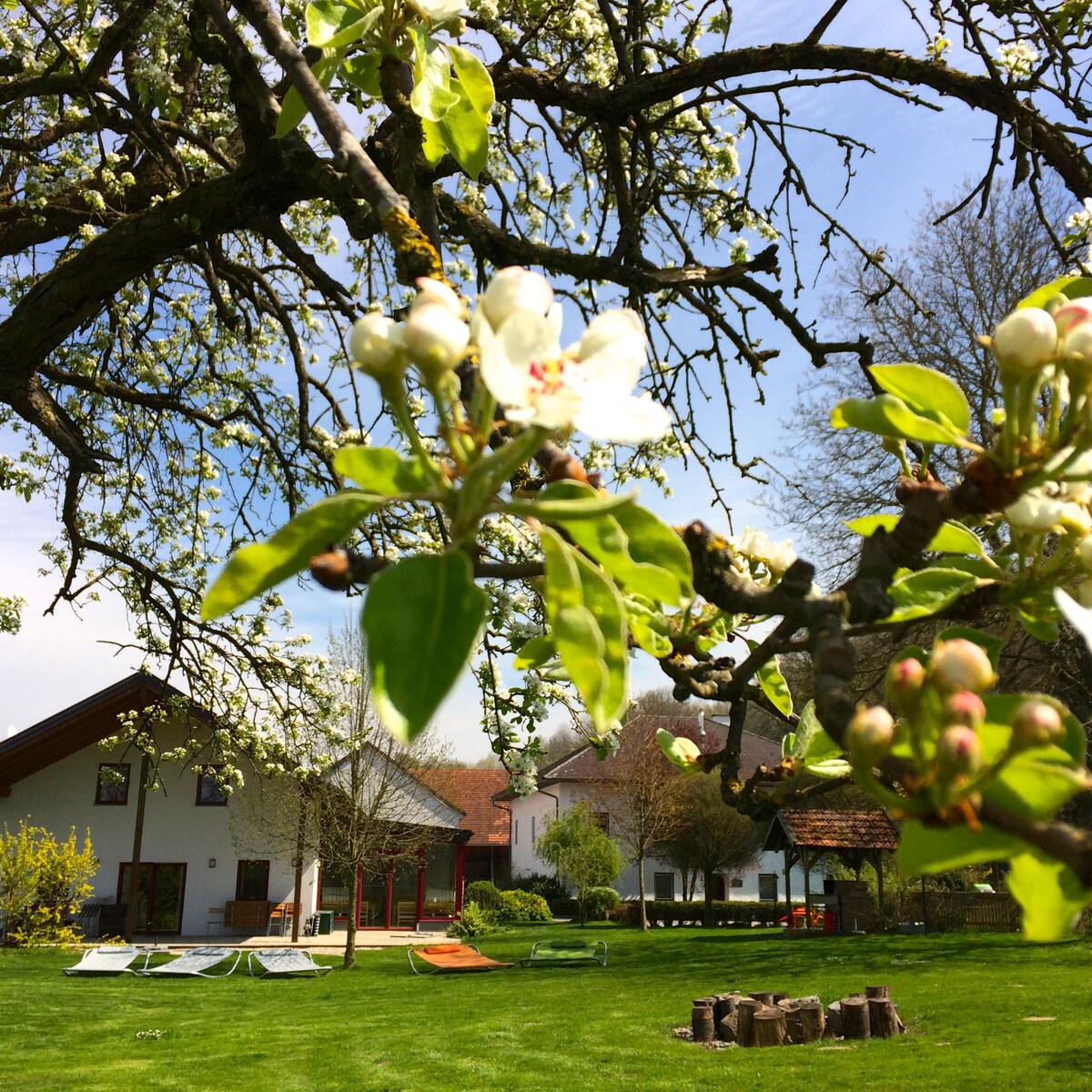 Sonnenblumenhof - Doppelzimmer Nr. 2 oder 3