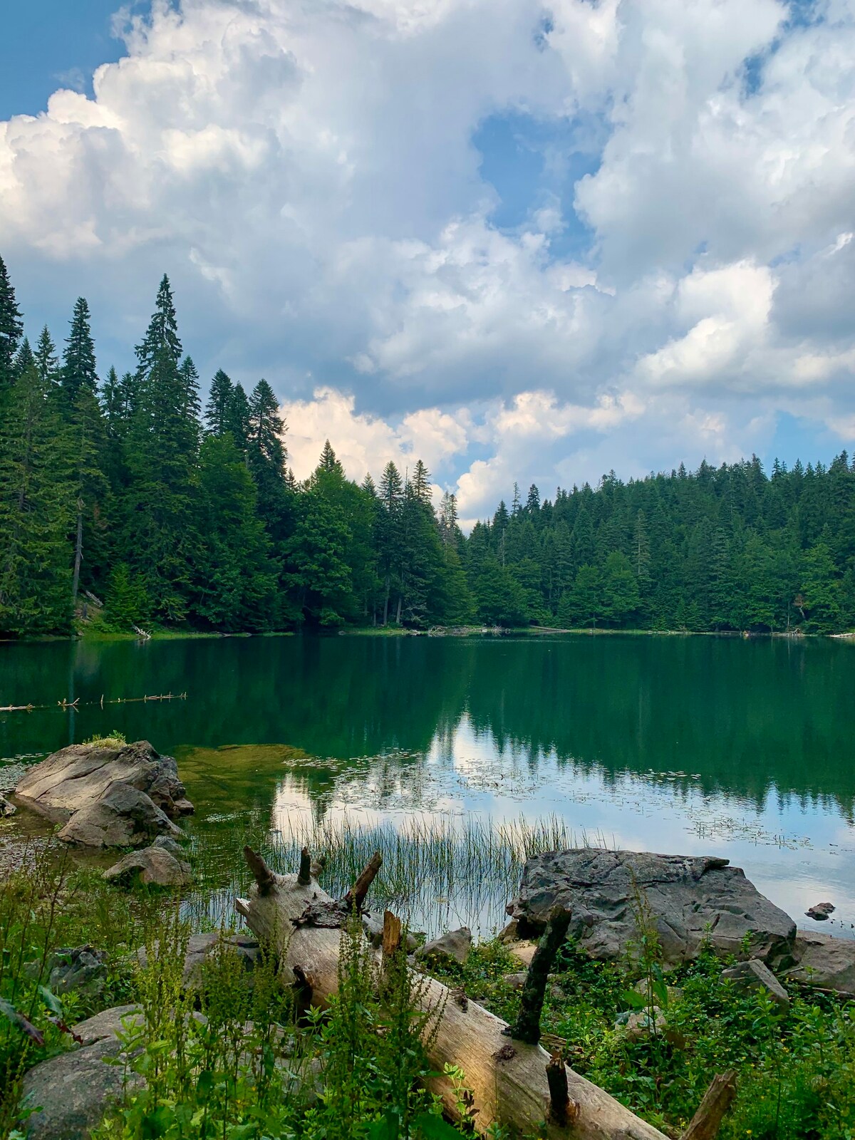 Camp Zabojsko Lake - Cottage 4