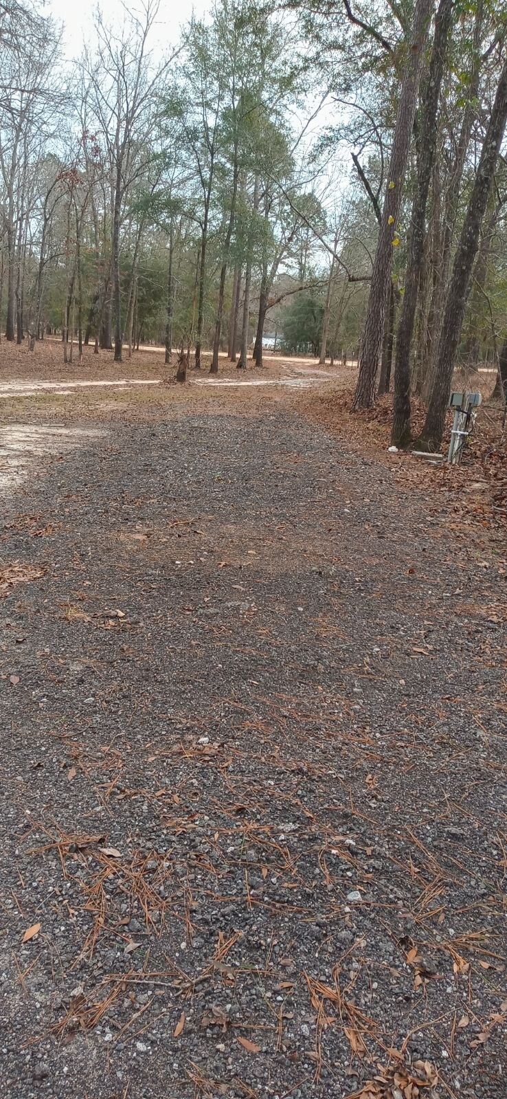 Campsite #2 near Plant Vogtle