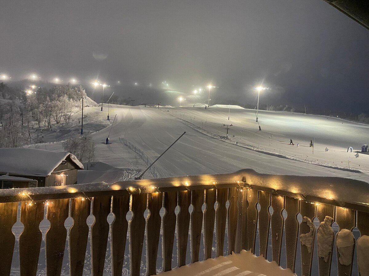 Tänndalen / Hamra - ski in/out