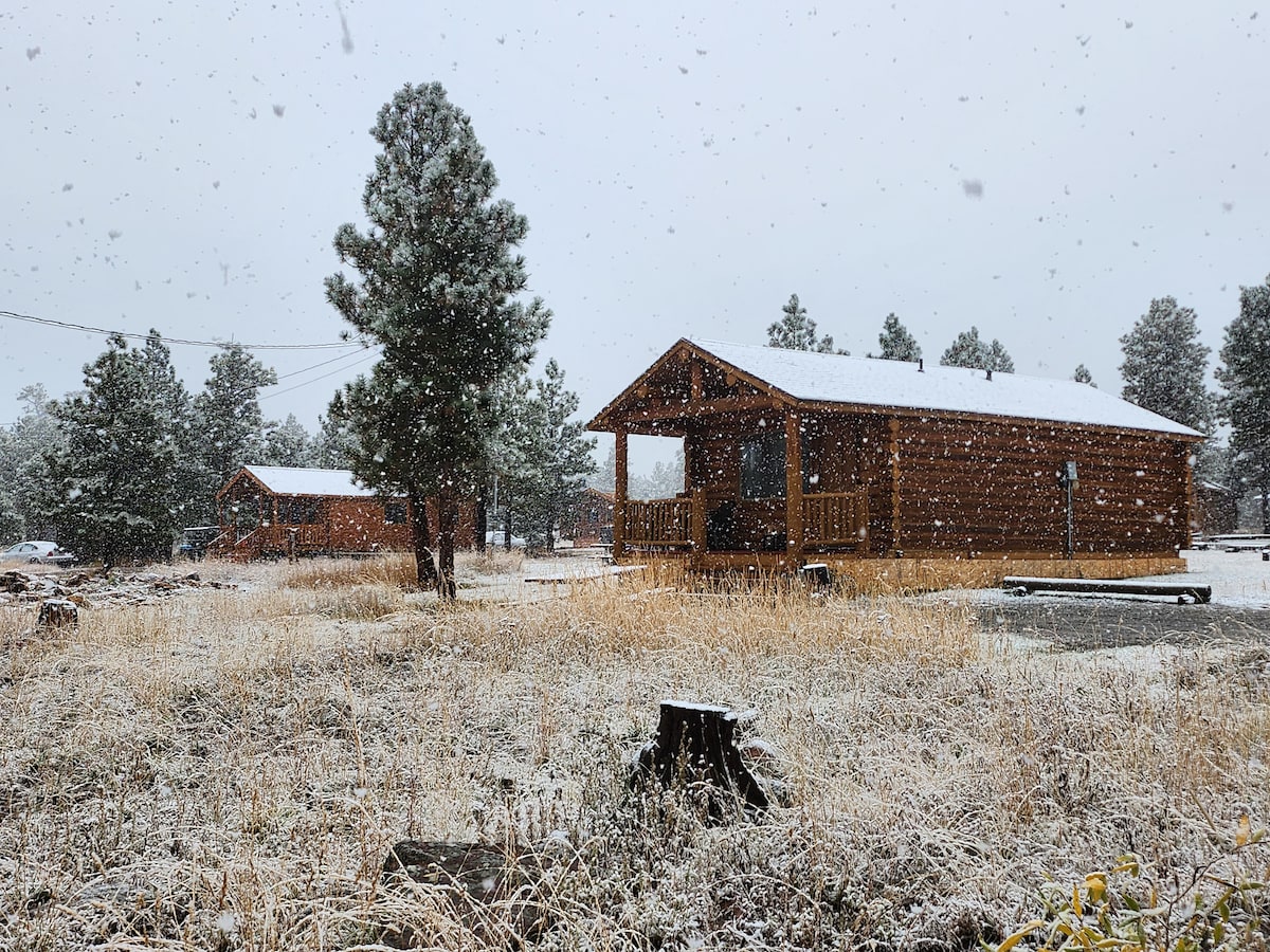 Lake-side Cabin - Alpine 25