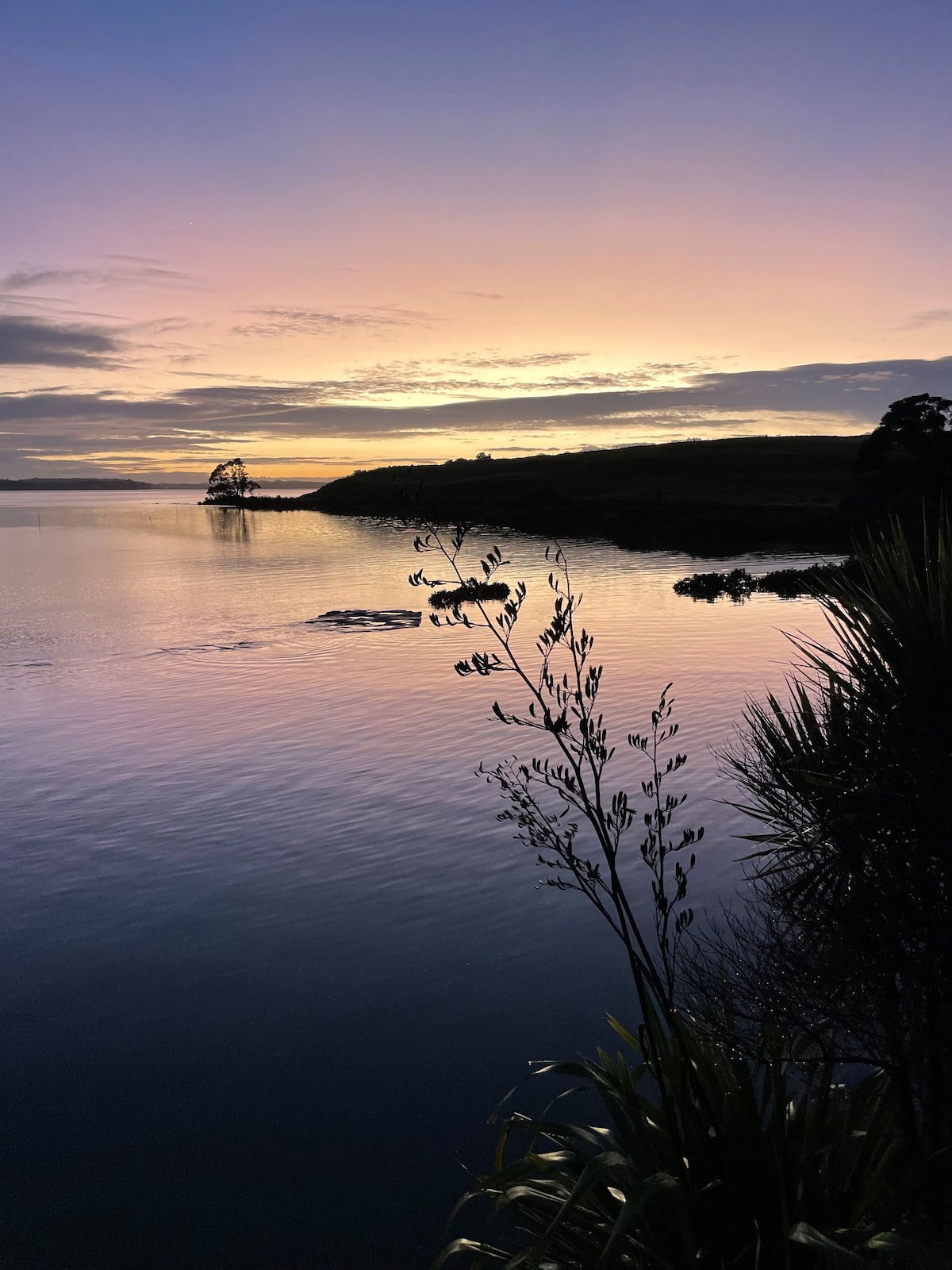 Secret tree top, estuary escape!