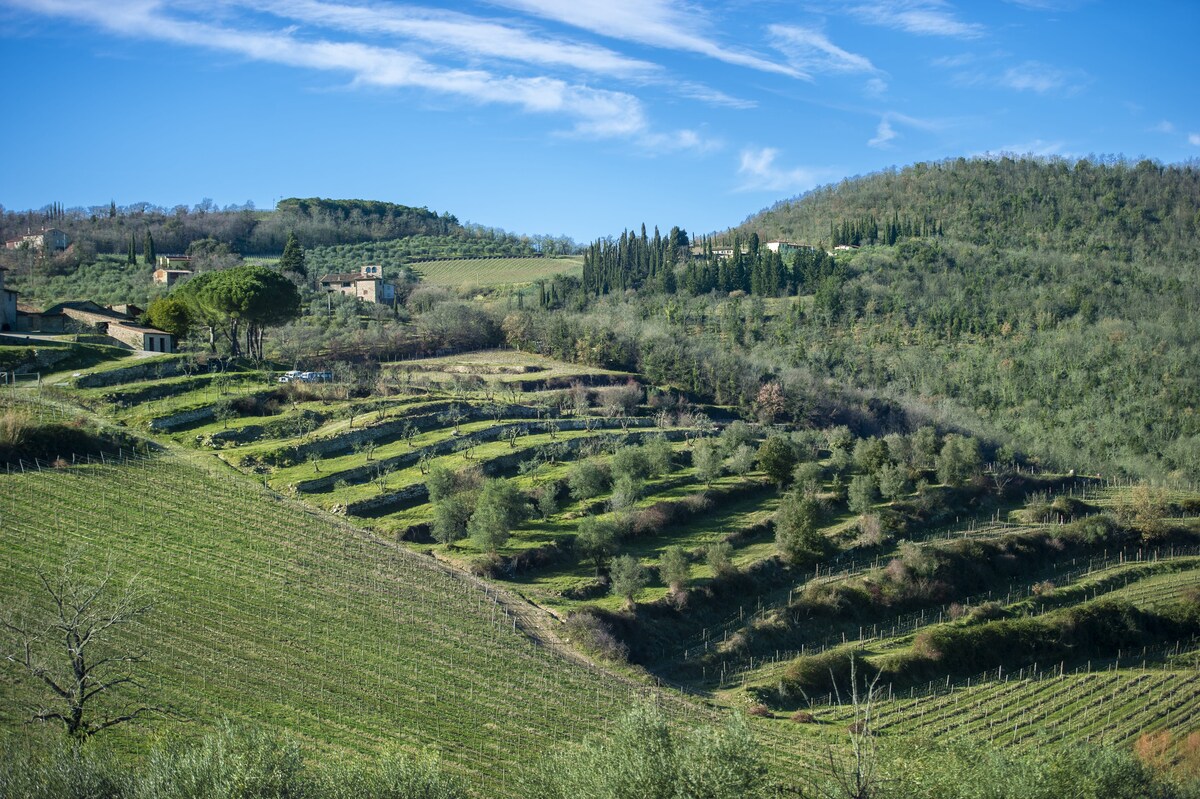 Villa Chianti with infinity pool and vineyard view