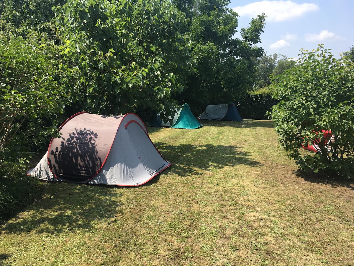 Pop-up-Camping close to Tomorrowland