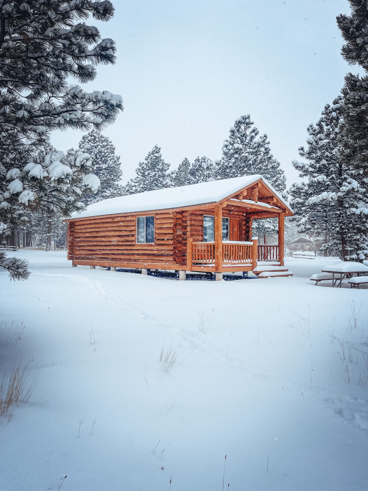 Lake-side Cabin - Alpine 25