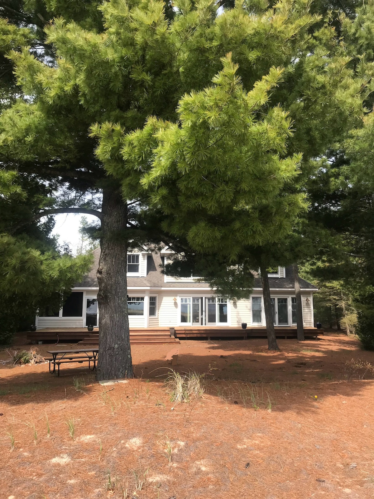 Lakehouse Between the Pines