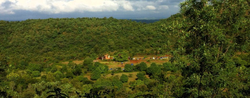 Bamboo Rustles Jungle Camp