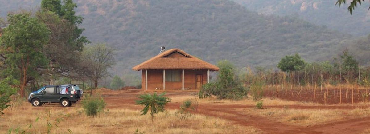 Bamboo Rustles Jungle Camp