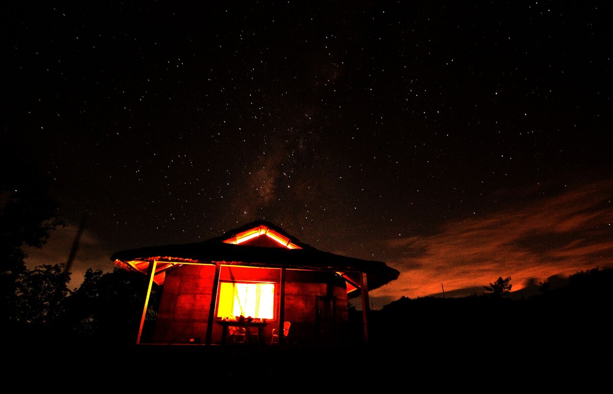 Bamboo Rustles Jungle Camp