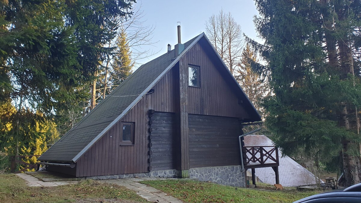 Wooden hut