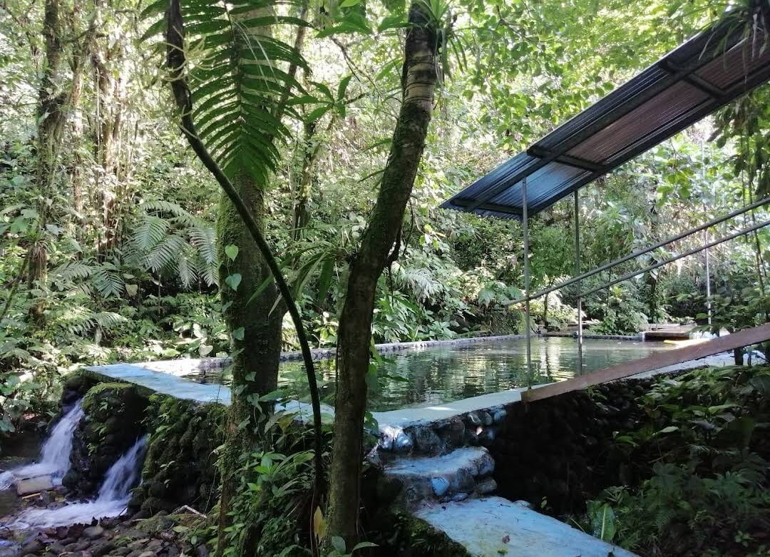 Roca Lodge Rainforest