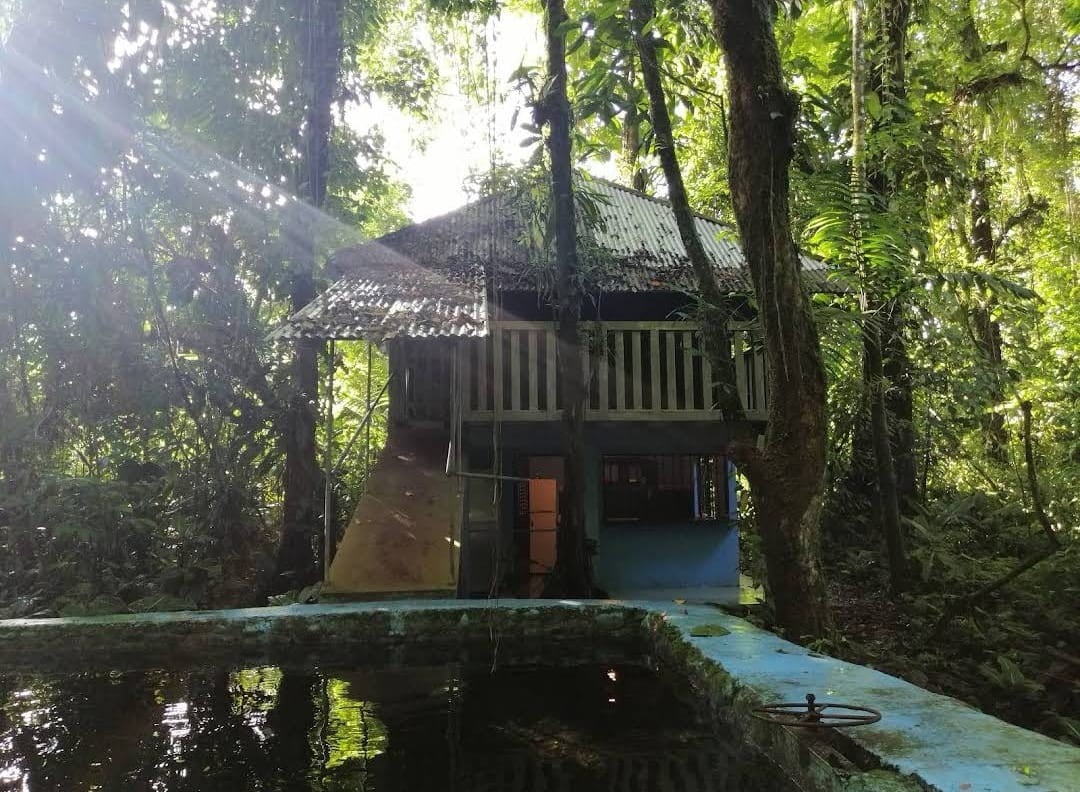 Roca Lodge Rainforest