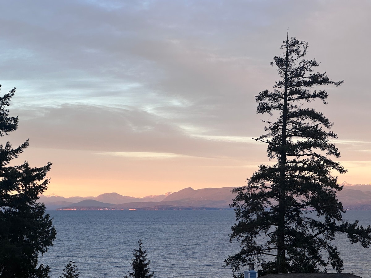 Cozy home with Sauna in North Nanaimo