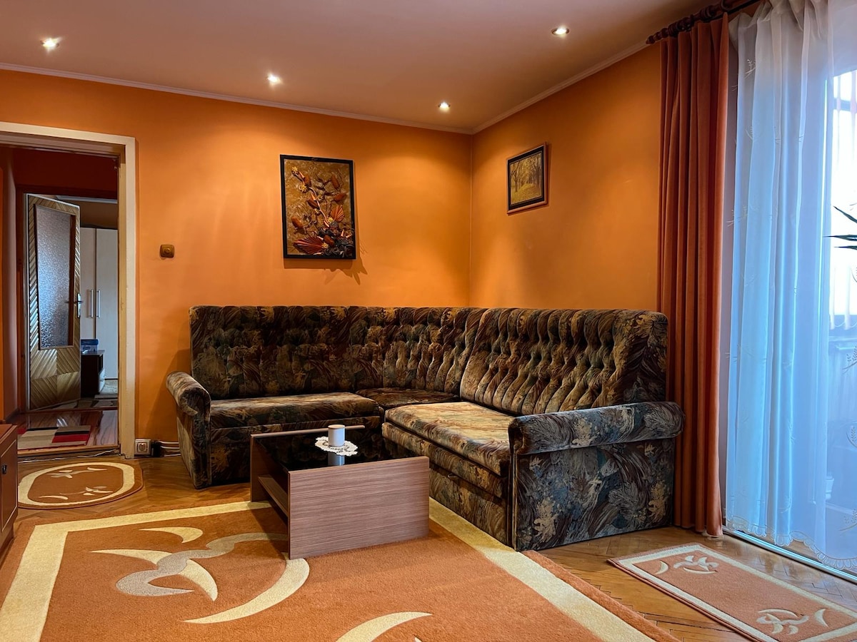 Apartament in regim Hotelier.