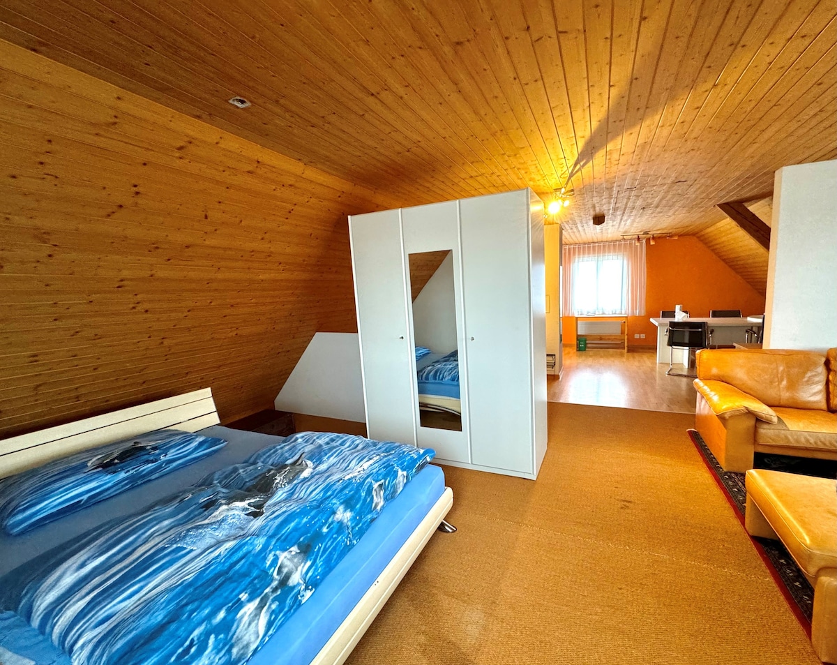 Loft-Dachstudio 60 m2
