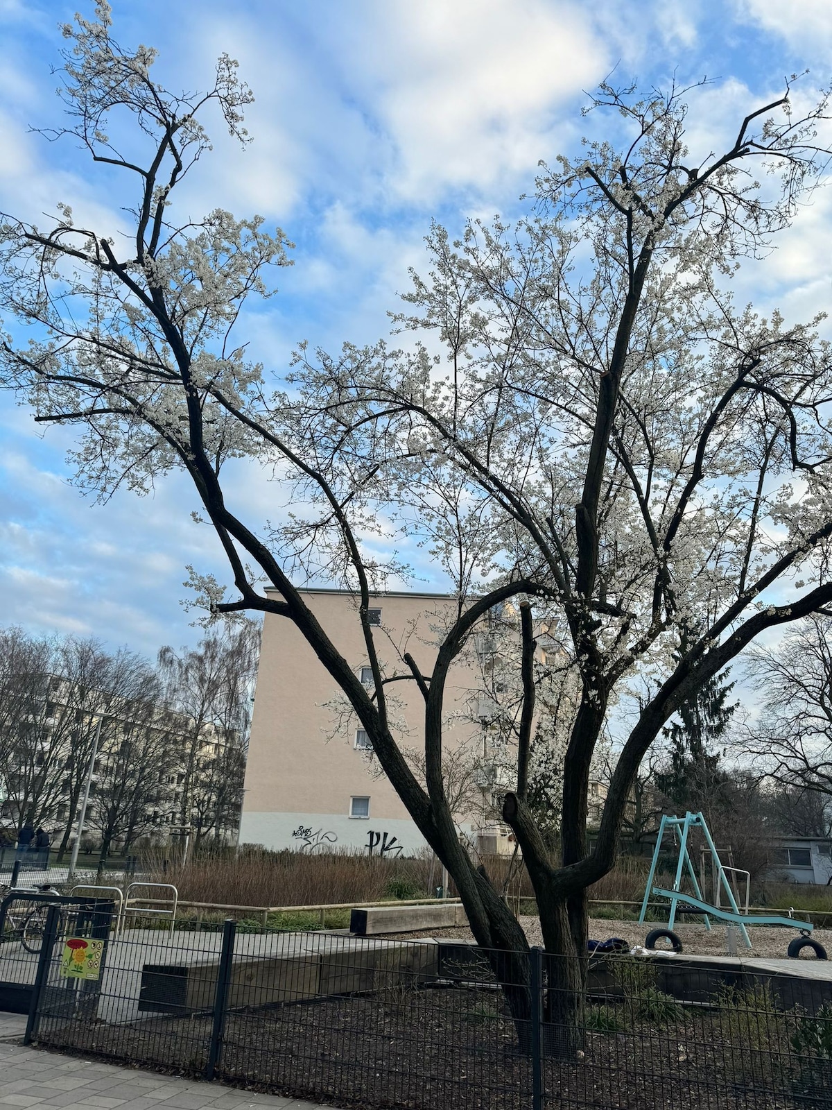 Wohnung in Berlin-Charlottenburg