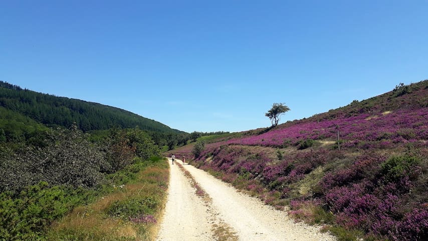 Ferrals-les-Montagnes的民宿