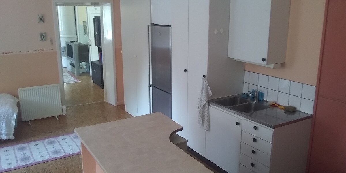 Apartment with kitchen 60 m2