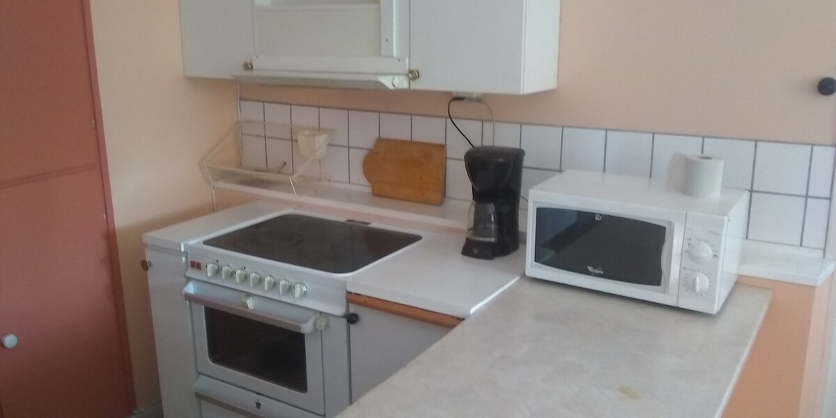 Apartment with kitchen 60 m2