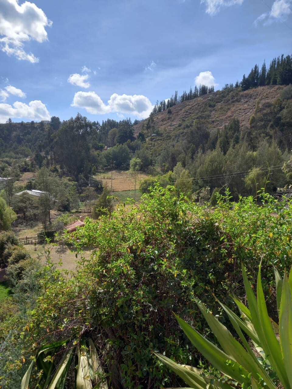 Cabaña los cerezos