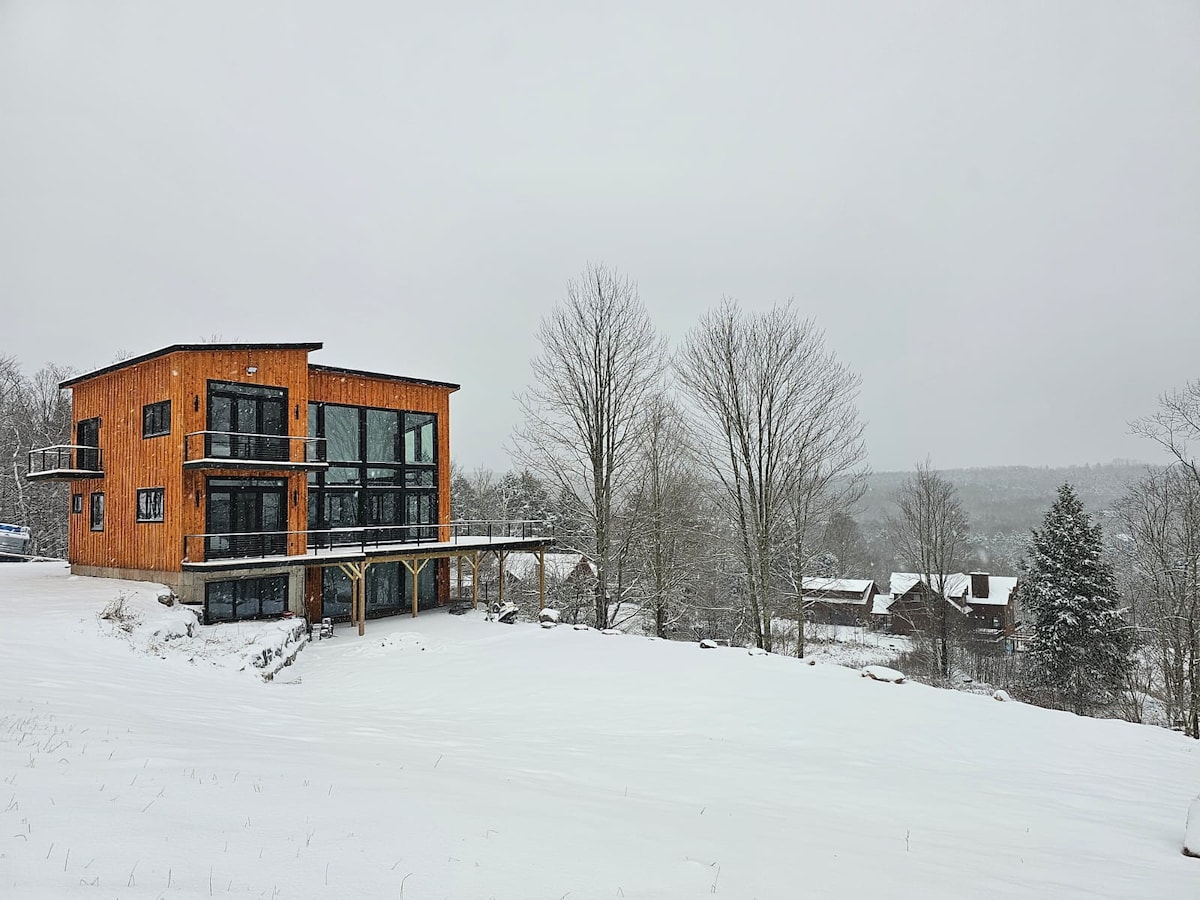 New Modern Ski-View Pool House