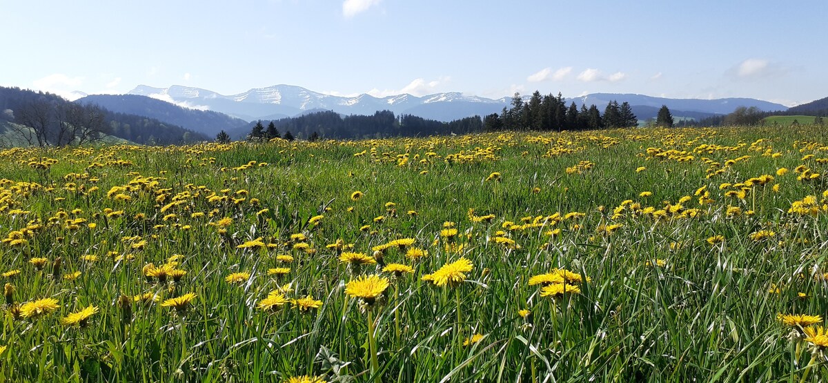 Kinderbauernhof im Allgäu