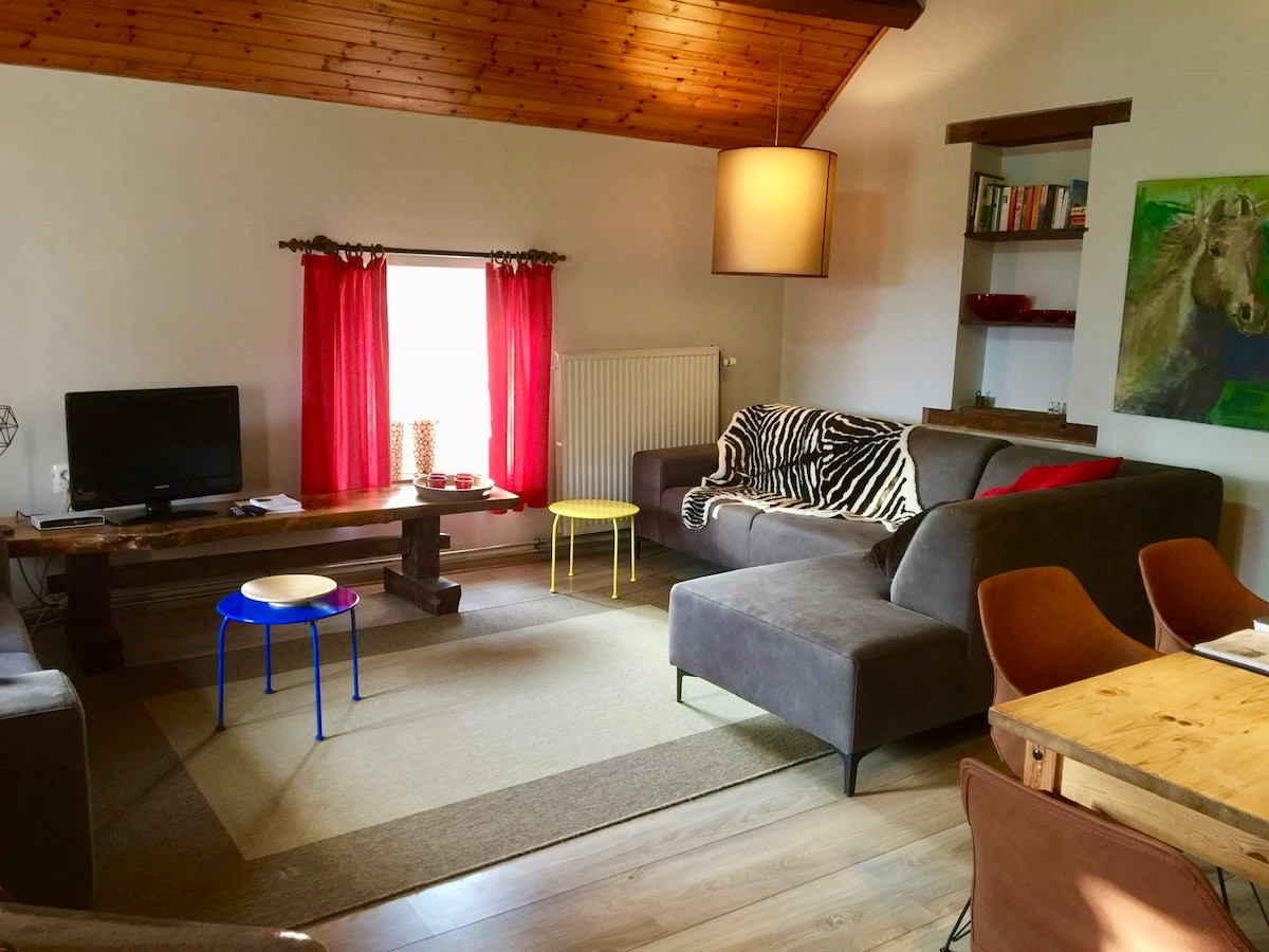 Loft Appartement - Poortzolder