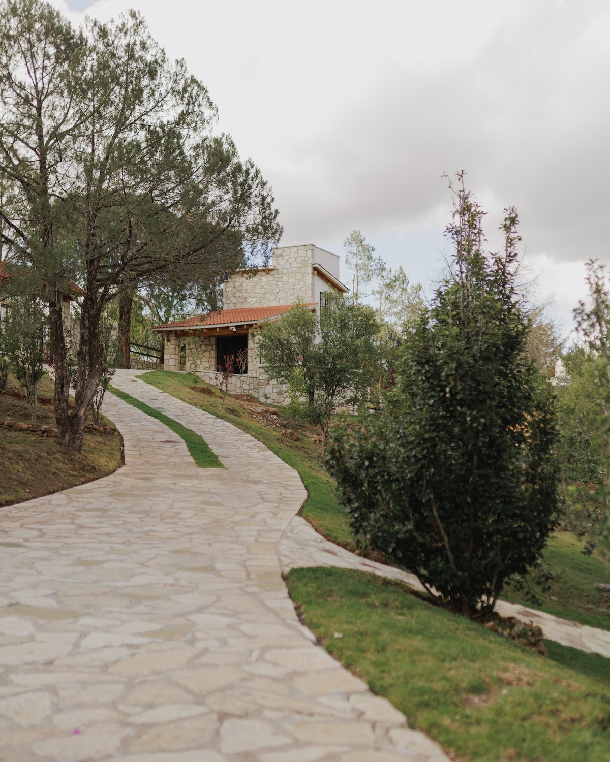 Cabaña en el Bosque con Alberca en una Finca