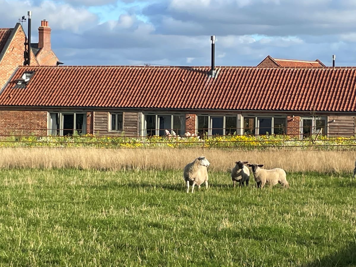 Little Owl Barn, Aylsham