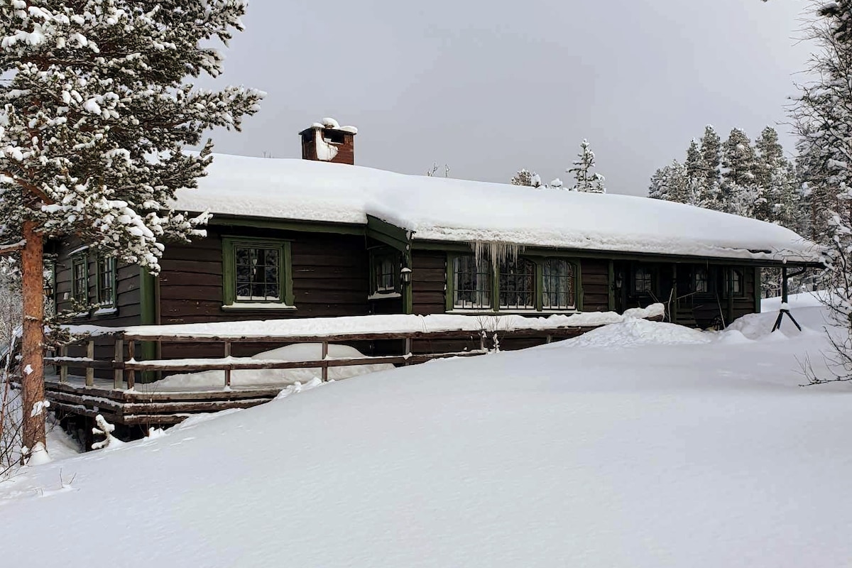 Cosy cabin close to Hovden