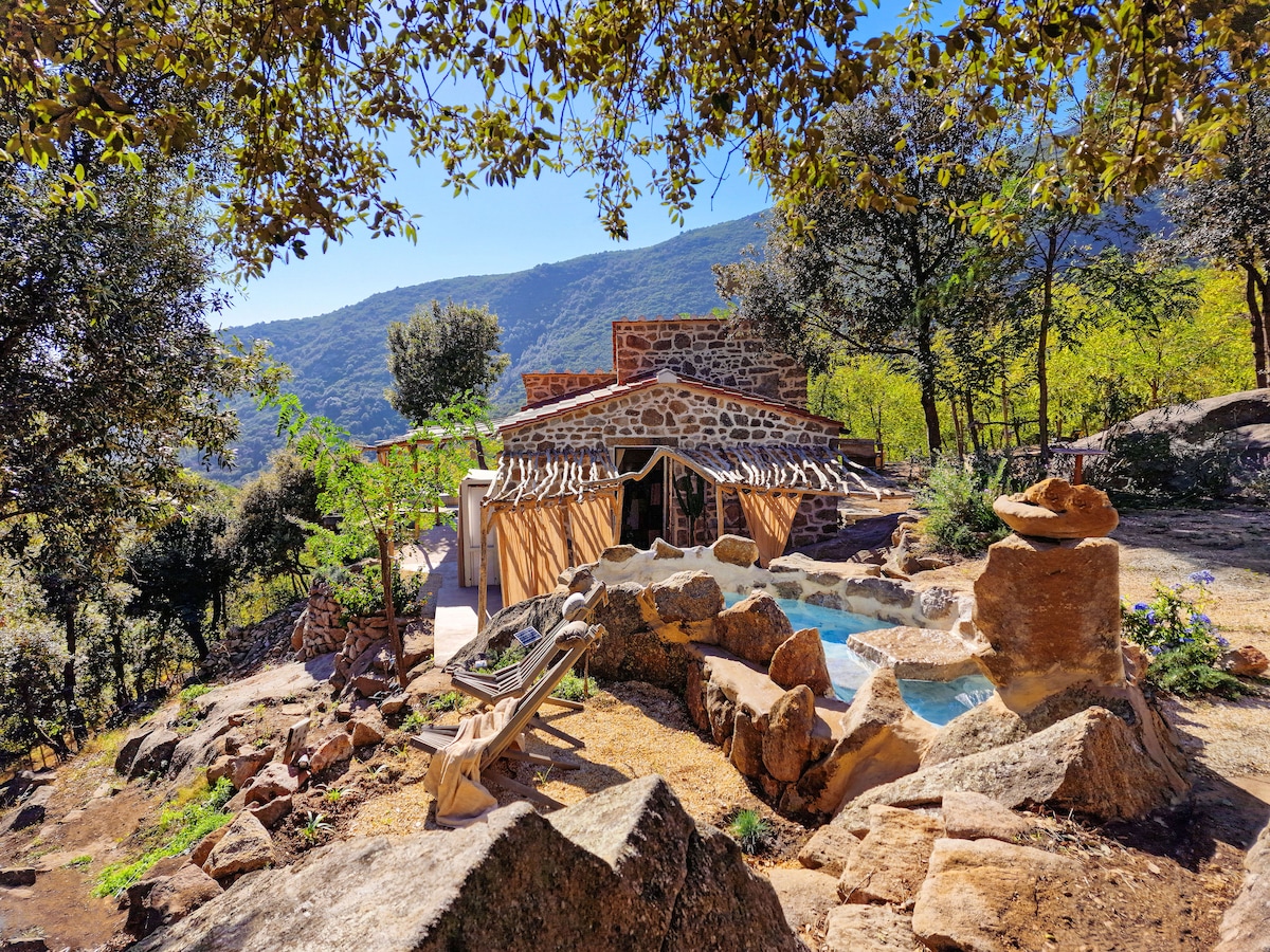 Casa nel Bosco a Seccheto, un oasi di pace