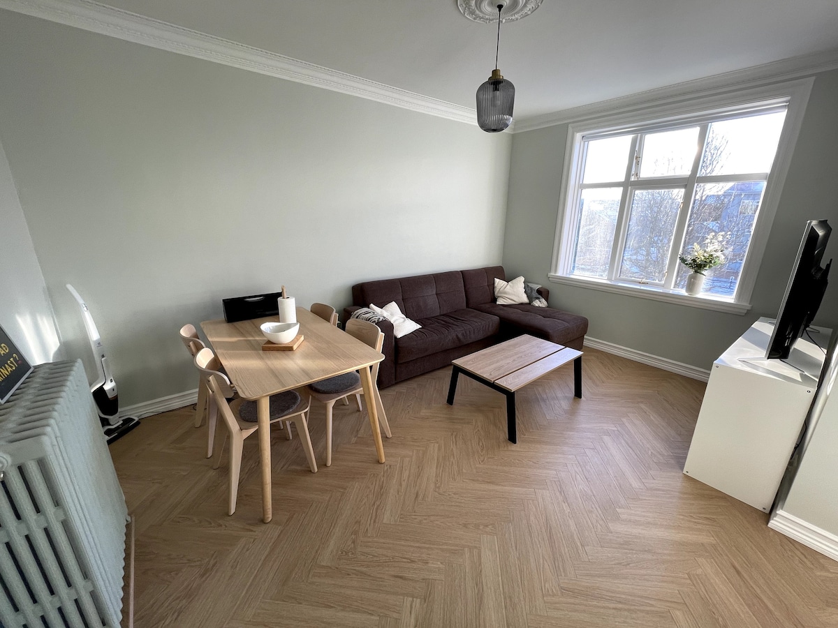 Bright and Cozy apartment in down town RVK