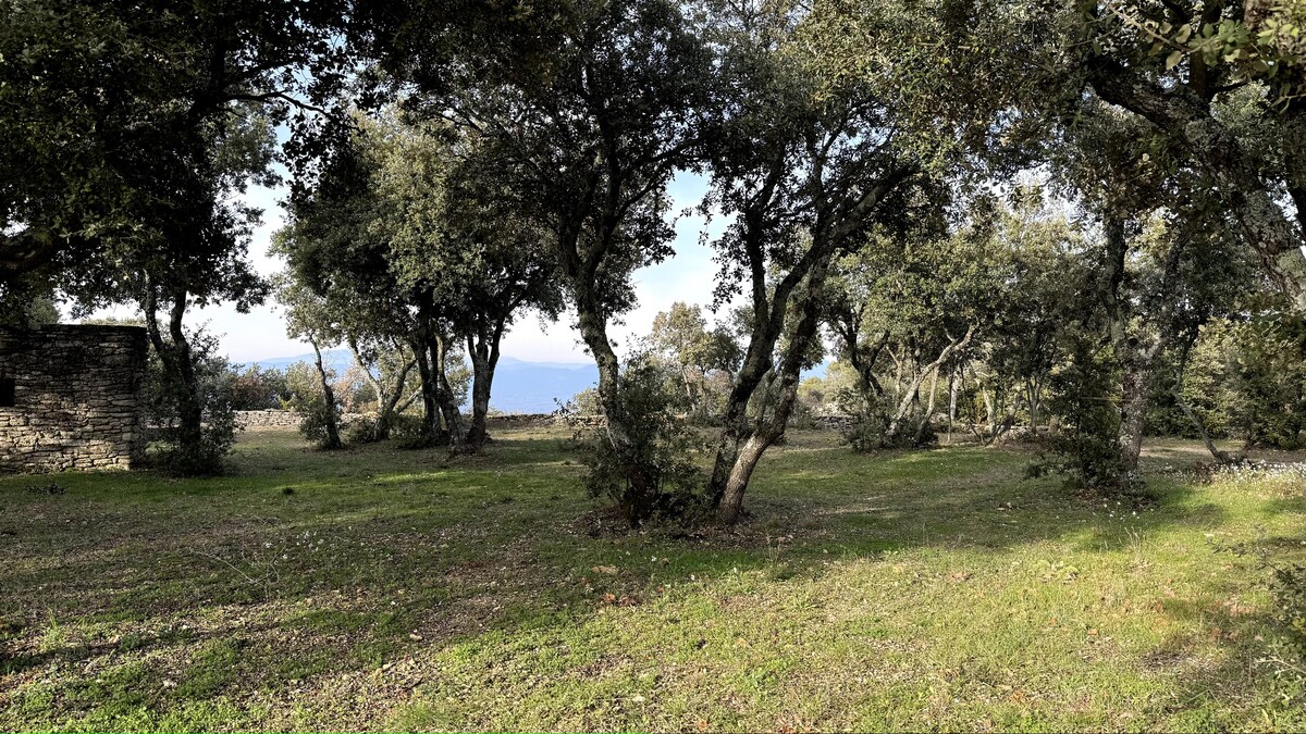 Cabanon en Lubéron