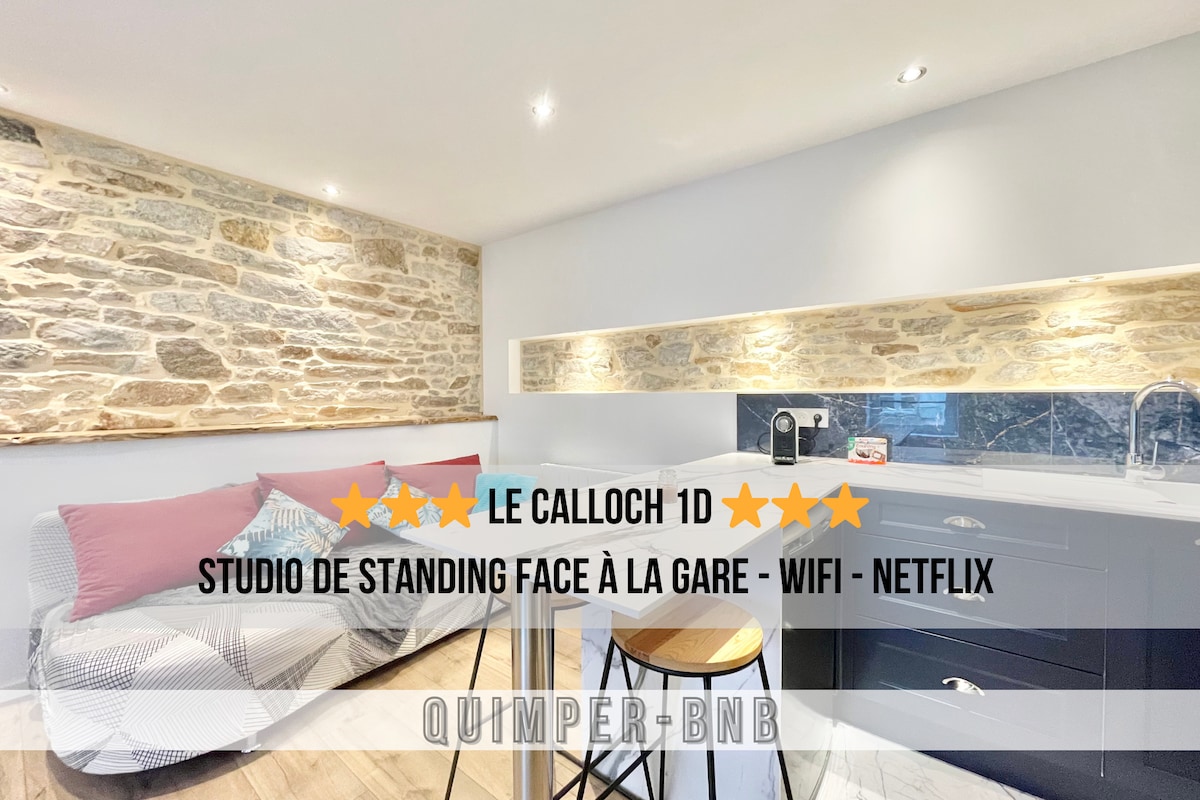 Le Calloch 1D - Wifi - Netflix - Face Gare