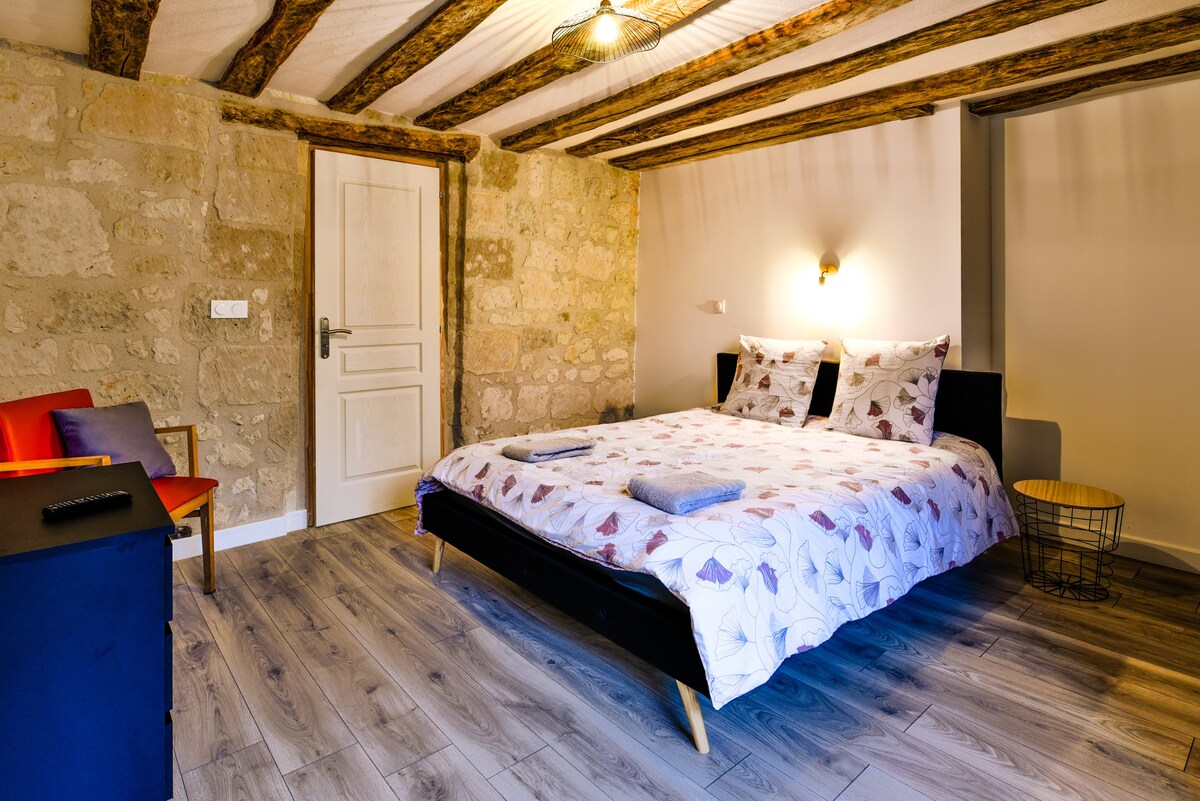 索穆尔城堡（ Château de Saumur ）附近的迷人复式公寓* Netflix *