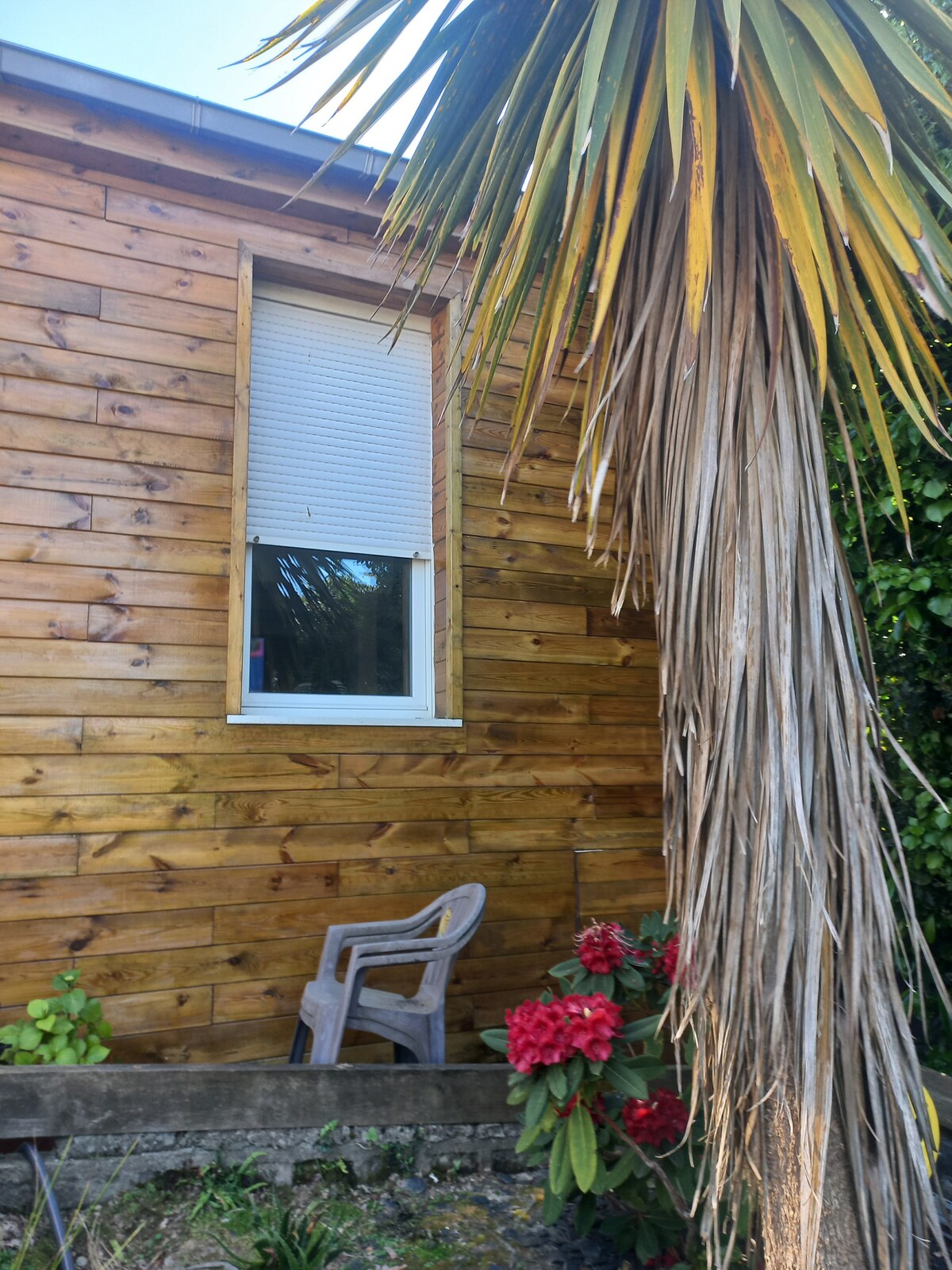 Maison au calme jardin exotique