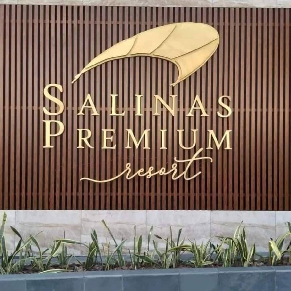 Salinas Premium. Apt Victor
