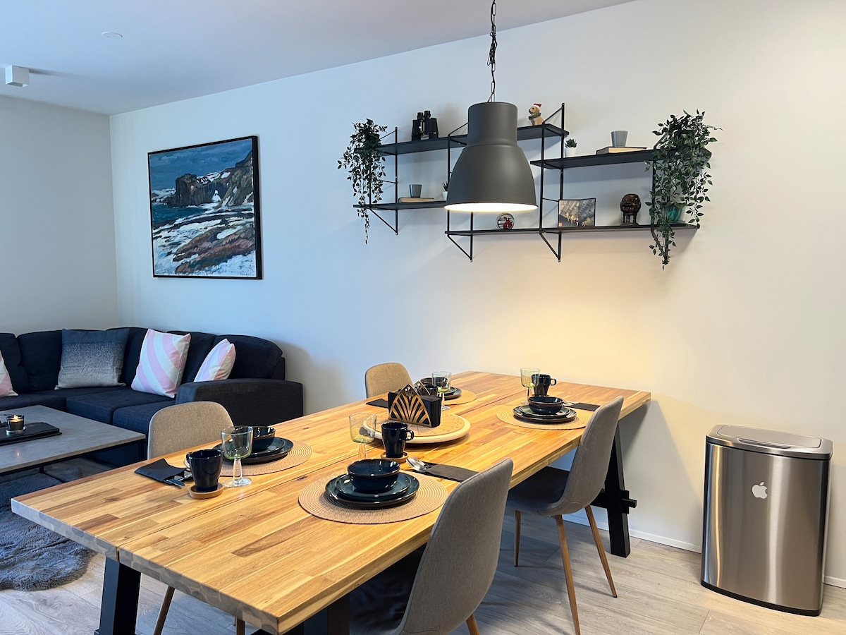 位于凯夫拉维克/Njardvik的舒适整套公寓。