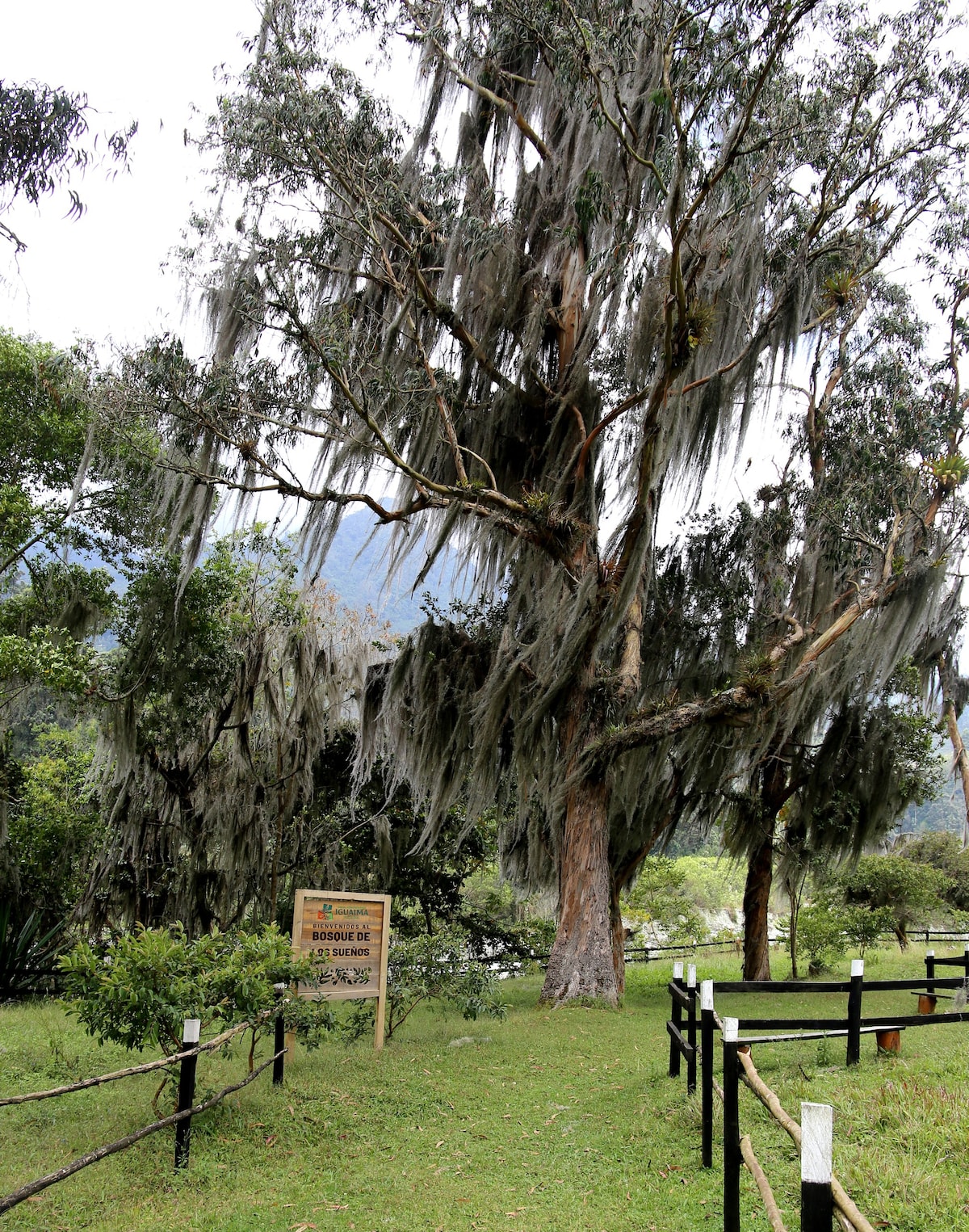 Habitación superior Iguaima