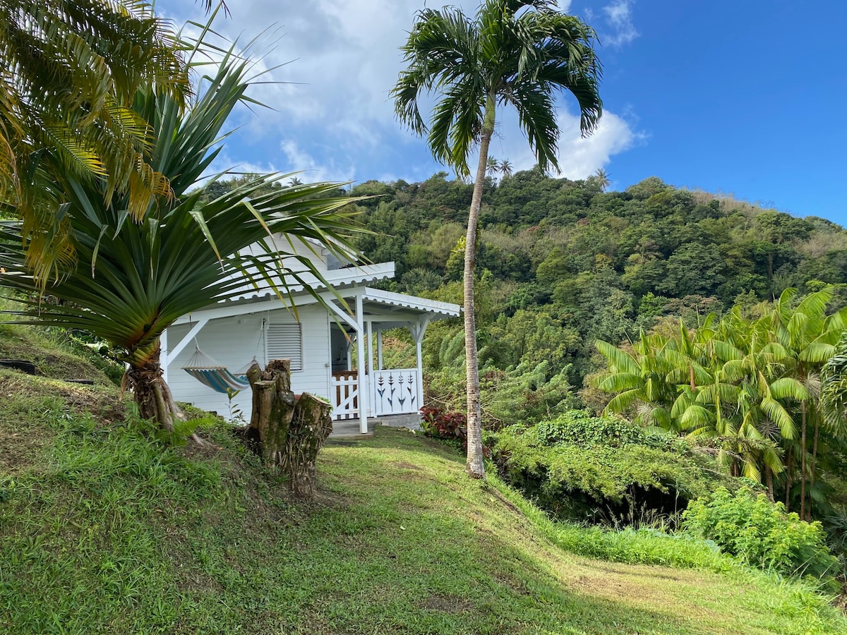 Villa en bois en pleine nature