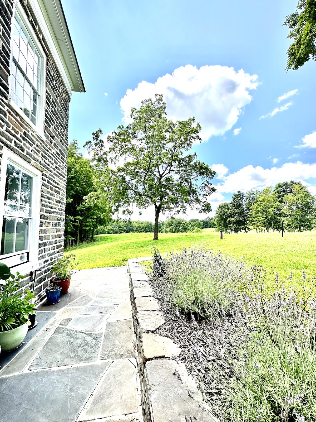 Waterfront alpaca farmstay in a historic farmhouse